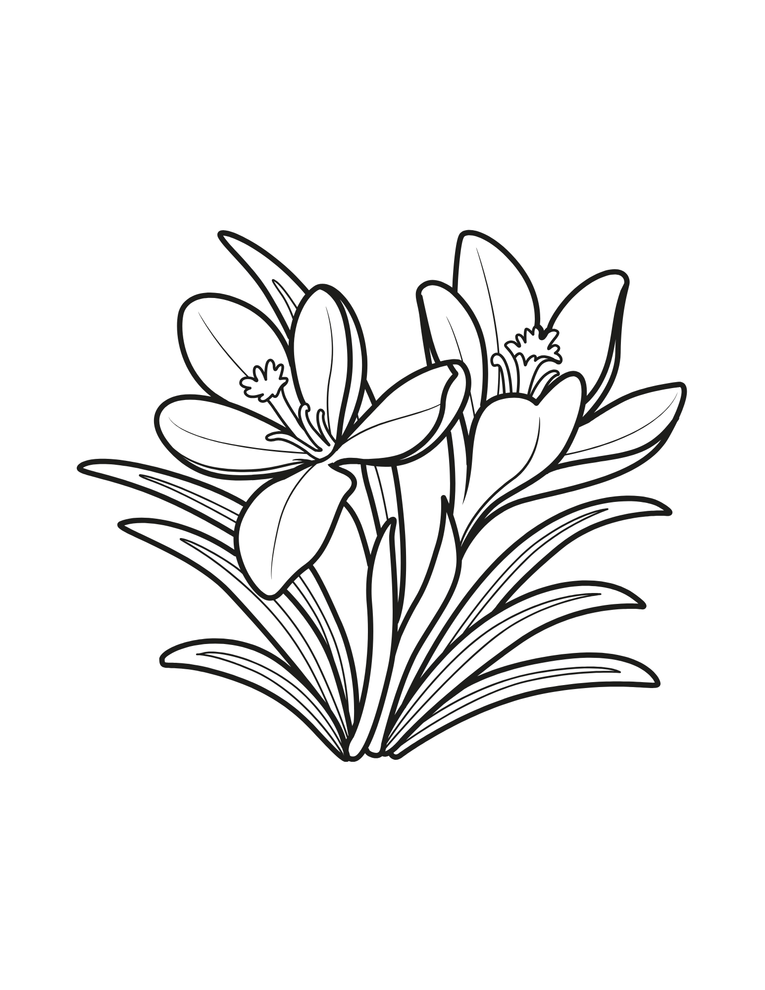 Beautiful Flower, Heart's Pure Hour