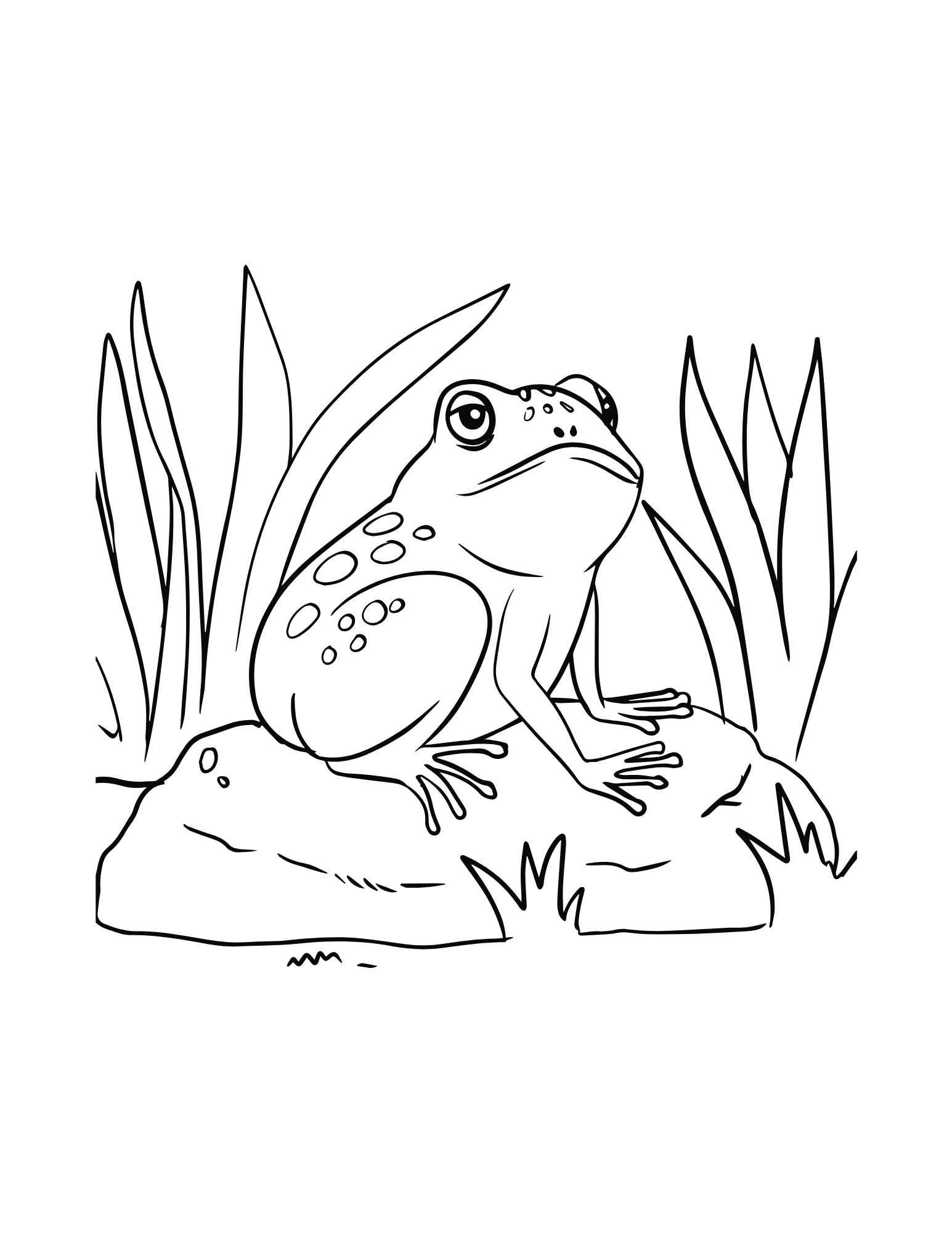 Froggy Fun A Frog Coloring Book