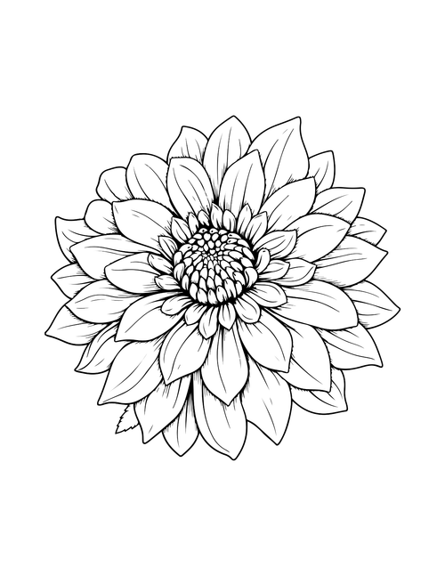 Beautiful Flower, Heart's Pure Hour