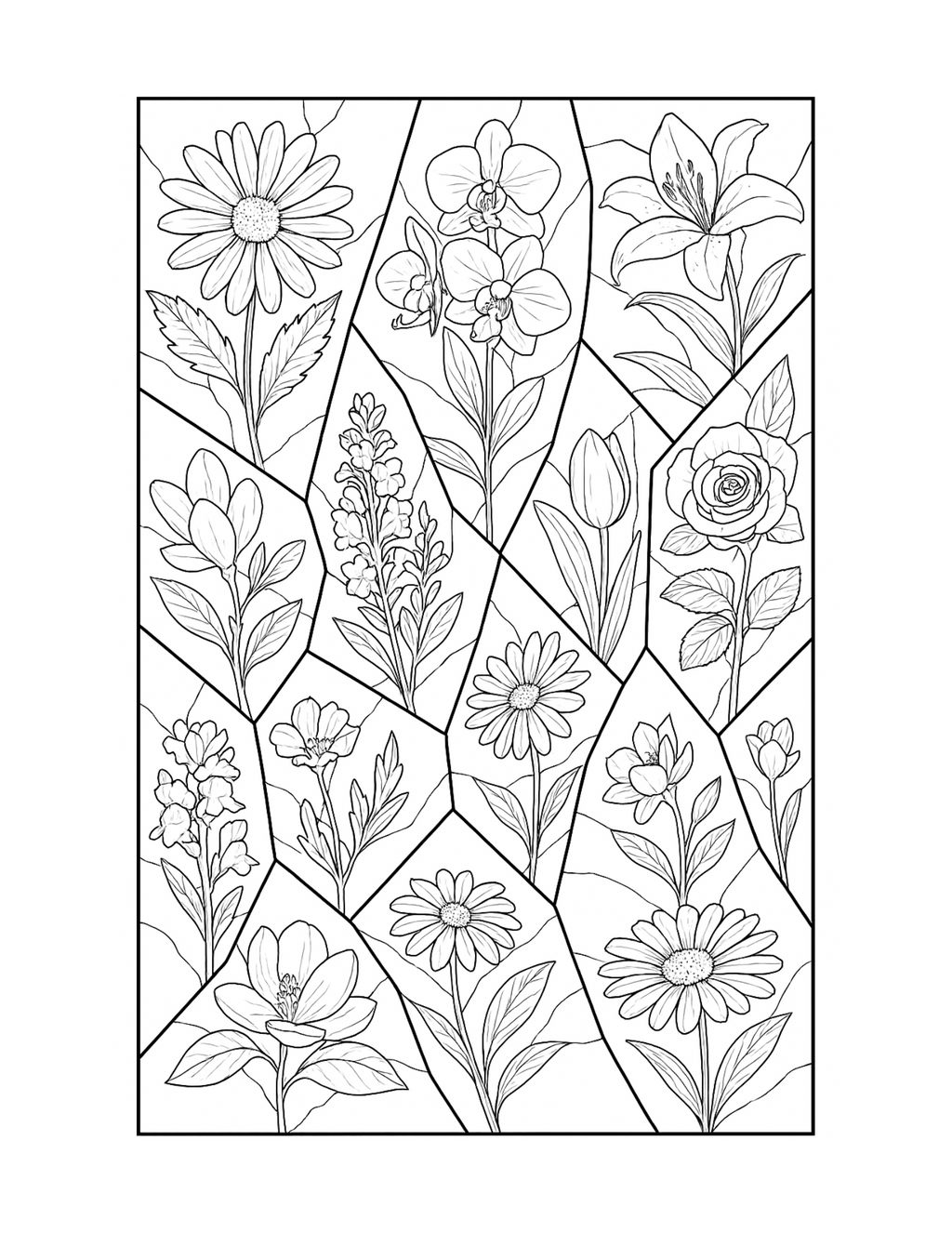 Shattered Realms: An Intricate Coloring Odyssey