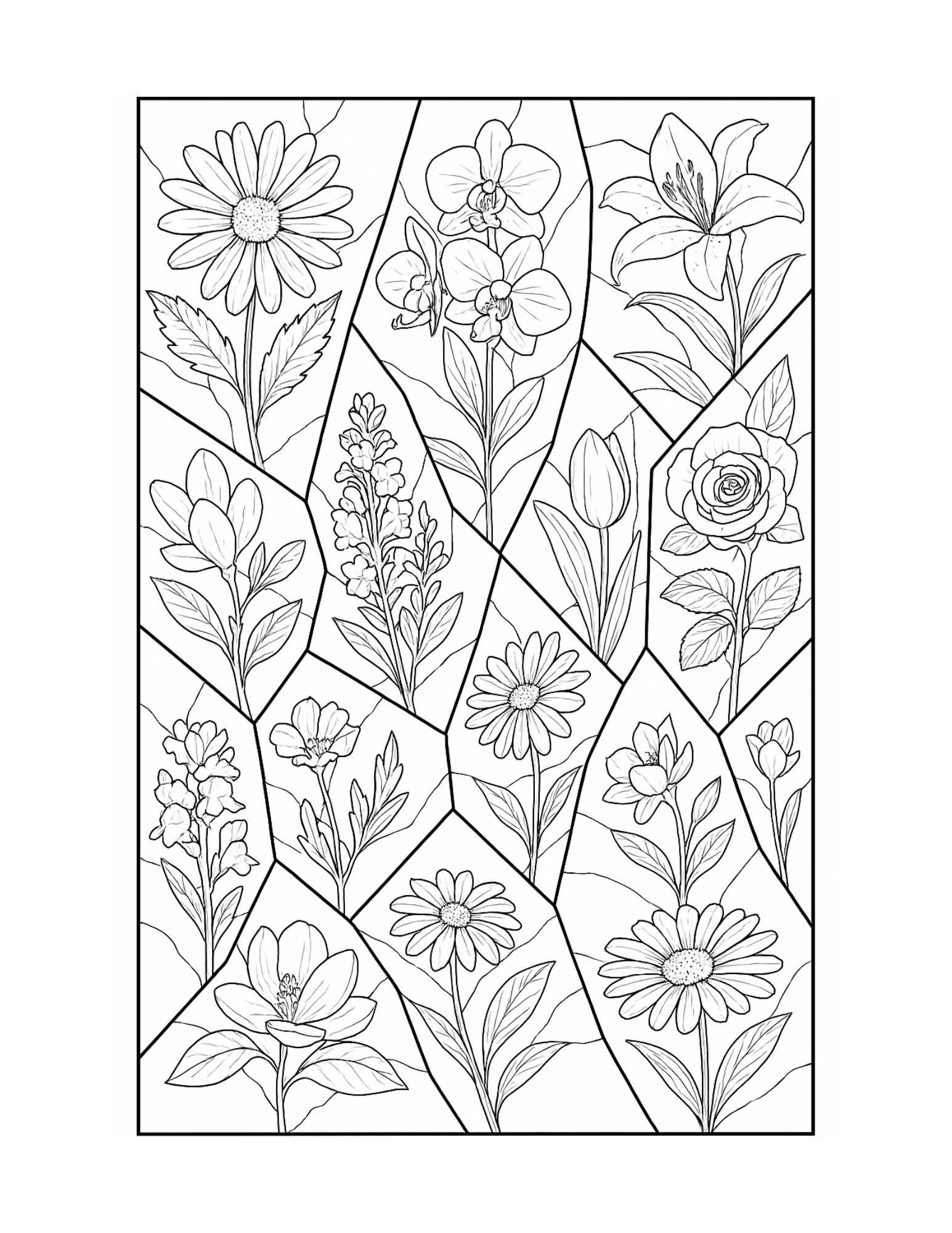 Shattered Realms: An Intricate Coloring Odyssey