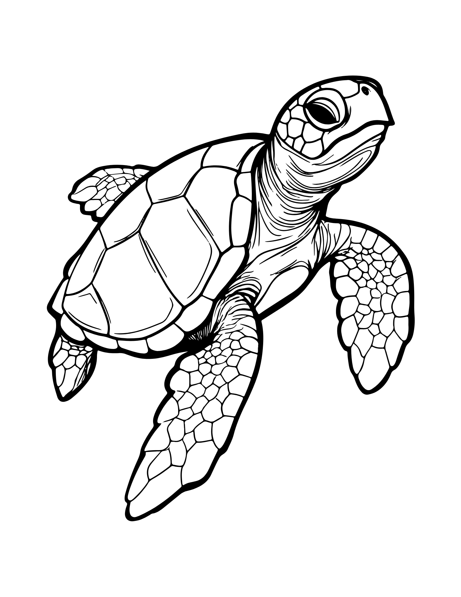Turtle Hugs Coloring Book