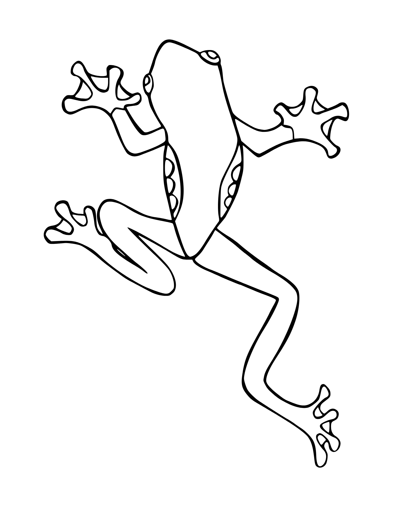 Froggy Fun A Frog Coloring Book